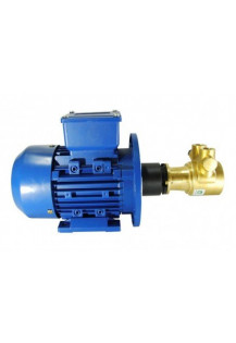 Насос Rotoflow OT BP (замена PROCON в сборе с эл. дв. АИР МУ..